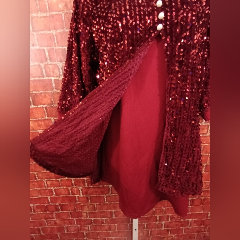 Sequins Wine Tunic Top - Picture 7 of 10